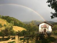 La Căsuță - B&B Bran