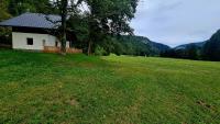 Radovna Mountain Valley Cottage - B&B Zgornje Gorje