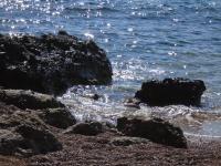 Casa con 3 Camere da Letto (7 Adulti)