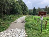 Schöne Aussicht Sauerland - kühle Wohnung - Familienurlaub mit Hund - Chambres d'hôtes Schmallenberg