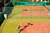 History House - B&B Grevediana