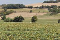 Les treilles d'en Peyre - B&B