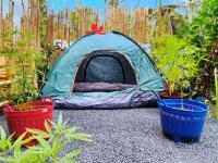 B&B Ban Nuea - Ganja Gardens Camping - Bed and Breakfast Ban Nuea