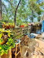 La Bocana Beach House - Bed and Breakfast