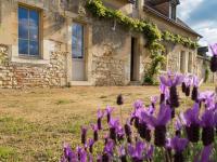 Ferme restaurée près Zoo de La Flèche, 200m², 8 pers, terrasse, nature et repos - FR-1-410-230 - Chambres d'hôtes Bazouges-sur-le-Loir