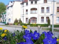 Kamienica pod Kasztanami Świnoujście (Usedom Insel) - Ferienwohnung