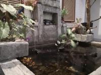 Hua Tang Homestay - B&B Ipoh