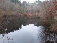 Mobil home au coeur de Brocéliande - Ferienwohnung Paimpont