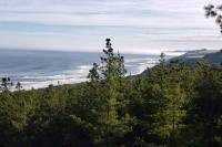 Tinyhouse Boyeruca Lodge. Maravillosas vistas de Bosque, Mar y Cielo - B&B Vichuquén
