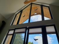 Stark House Gallery - B&B Borsk