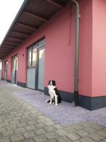 City Pension Senftenberg / Apartment Nr.2 - B&B