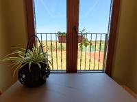 Apartment with Garden View