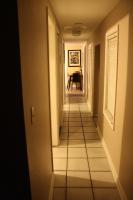 Key West Style Historic Home in Coconut Grove Florida The Yellow House - B&B