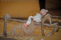 Camera Queen Standard