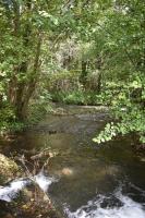 Le Moulin,19 bis rue de Beaudon, 45330 Augerville la riviere - Bed and Breakfast