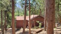 Redwood Retreat, Mountains, Adventure and Nature - B&B