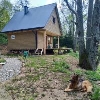 LESZCZYNOWY STOK - B&B Lutowiska