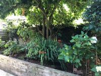 Church View - c. 1750 cosy character cob cottage. - B&B Hatherleigh