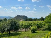 Szőlőhegy Vendégház Sümeg - B&B