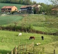 Appartamento in cascina -la cascinetta di Ali- - B&B Roatto