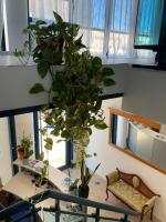 Alojamiento Med The Blue Med - B&B