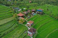 B&B Munduk - Villa Sande - Bed and Breakfast Munduk