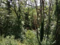 Le Nid d'Écureuil - Ferienwohnung Epiry