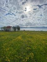 Unique and charming holiday home with fantastic sea views - Chambres d'hôtes Tromsø