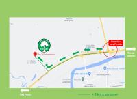 Family Suite with Balcony