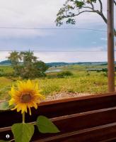 Pousada flores de ipê - B&B Capitólio