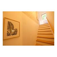 Studio with Garden View