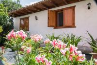 Cozy House Casa Vero Mai Icod de los Vinos - B&B Icod de los Vinos