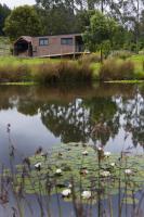Tyenna River Cottages - B&B Tyenna