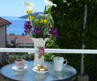 B&B Herceg Novi - Apartments Vlaovic - Bed and Breakfast Herceg Novi