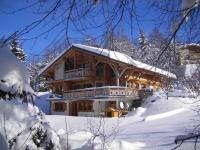 Chalet cosy 12 pers. à 1km des pistes, 5 ch., WiFi, cheminée, abri voiture - FR-1-572-30 - Ferienwohnung