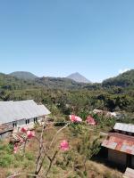 B&B Bajawa - Kristian Homestay - Bed and Breakfast Bajawa