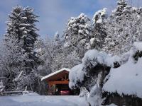 Apartment with Shower