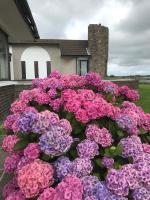 Castlepoint - B&B Strangford