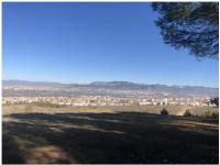 ZUBICALM - B&B La Zubia