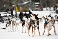 Small Double or Twin Room