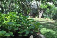 La Maison de Tanger - Ferienwohnung Tanger