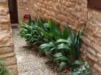 Nel vicolo dei Baci - Casa vacanze al Bacio - Chambres d’hôtes Spello