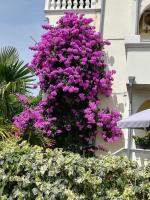 Oaza Tribunj Sea View - B&B