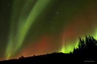 Cozy house by the river Ytri Rangá - B&B Hella