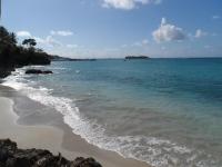 STUDIO Coquillages&Crustacés - B&B Le Gosier