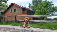 Guesthouse La Moliere, 3 bedrooms, private house, horse farm, full nature - Chambres d'hôtes Murist