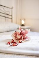 Apartman "Stay In" Osijek - B&B Osijek