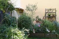 Studio met Uitzicht op de Tuin