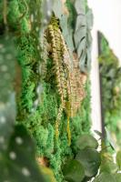 Design Apartments near Mariahilferstraße - B&B Vienna