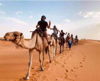 Erg Chegaga Camp Excursions - B&B